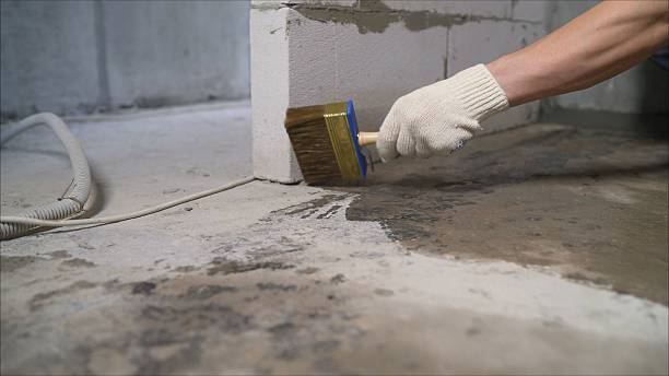 24/7 Emergency Wet Basement Repair experts in Hampshire, IL